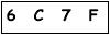 salt-479F3747